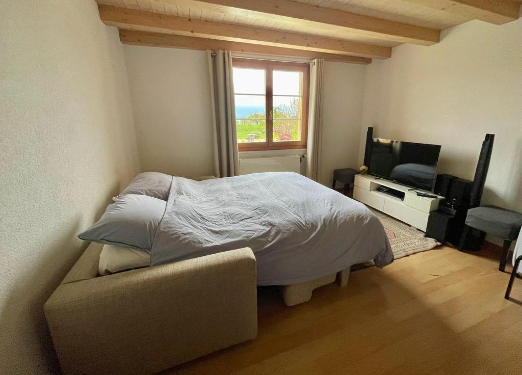 Claude Apartment